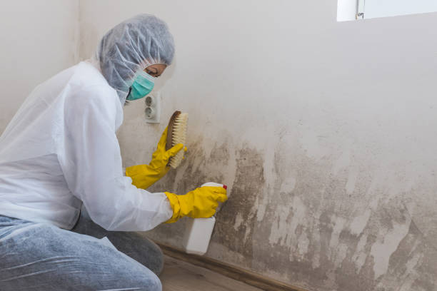 Best Industrial Mold Remediation  in Suisun City, CA