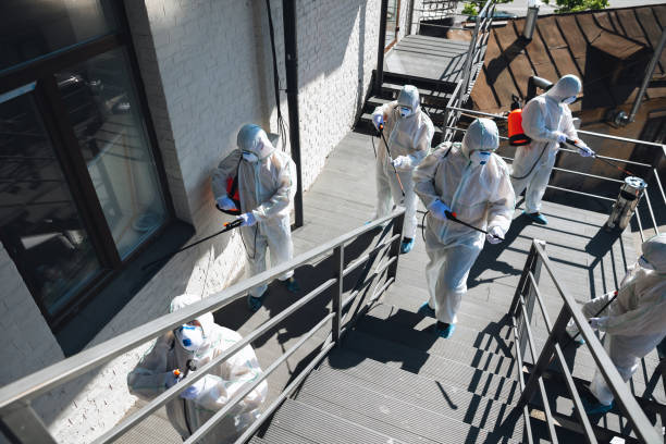 Best Residential Mold Inspection & Testing  in Suisun City, CA